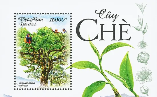 Phát hành bộ tem về chè Việt Nam