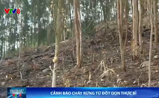 Cảnh báo cháy rừng do đốt dọn thực bì