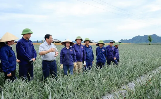 Thủ tướng thăm mô hình kinh tế nông nghiệp, công trình trọng điểm tại Ninh Bình