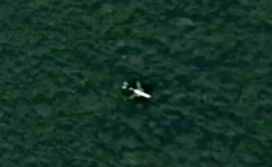 Campuchia bác thông tin xác máy bay MH370 nằm trong rừng sâu