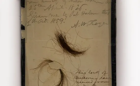 Các nhà khoa học tìm thấy lượng chì và nhiều chất độc khác trên tóc của Beethoven