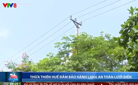 Thừa Thiên Huế đảm bảo an toàn hành lang lưới điện