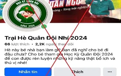 Đăng ký “Trại hè Quân đội Nhí 2024” cho con, người phụ nữ bị lừa hơn 1 tỷ đồng