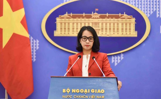 Bộ Ngoại giao hoan nghênh Hoa Kỳ điều trần về nâng cấp quy chế kinh tế thị trường cho Việt Nam