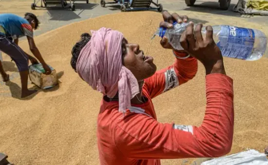 Nắng nóng kỷ lục ở Ấn Độ khiến ít nhất 33 người thiệt mạng