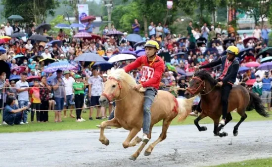 Khai màn Giải đua ngựa truyền thống huyện Bắc Hà, Lào Cai