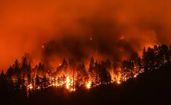 Cao điểm cháy rừng đang đến gần, Canada dự báo mùa hè nóng hơn thông thường