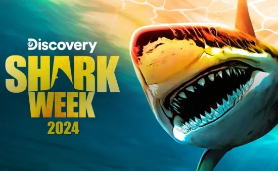 Hung thần đại dương trở lại cùng Shark Week 2024