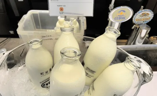 Nhật Bản tiêu hủy hơn 70 tấn sữa nguyên liệu bị lẫn chất tẩy rửa