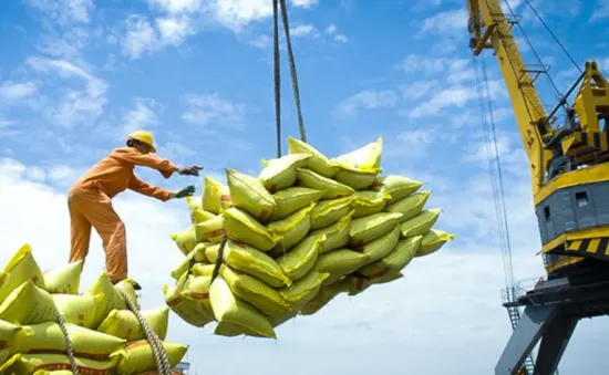 Xuất khẩu gạo sang Trung Quốc có xu hướng giảm, vì đâu?