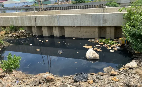 TP Hồ Chí Minh: Người dân sống gần kênh Tham Lương vẫn "chịu trận" vì mùi hôi và rác thải