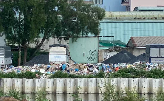 TP Hồ Chí Minh: "Núi rác thải" dưới chân cầu Trường Đai chất đống, gây ô nhiễm