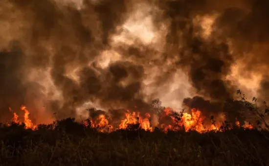 Hơn 3.300 vụ cháy tại vùng đất ngập nước nhiệt đới lớn nhất thế giới Pantanal