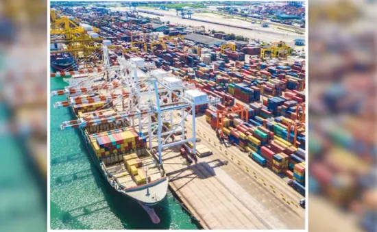 Vận chuyển hàng hóa đường biển toàn cầu tắc nghẽn đỉnh điểm trong tháng 6