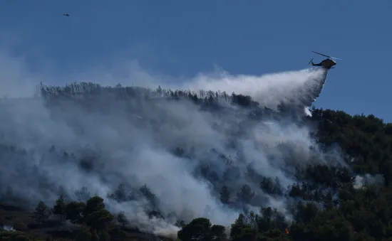 Thủ tướng Hy Lạp cảnh báo mùa hè nguy hiểm vì cháy rừng