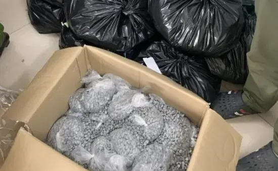 Phá chuyên án, thu giữ 179 kg ma túy qua đường hàng không từ Đức về Việt Nam
