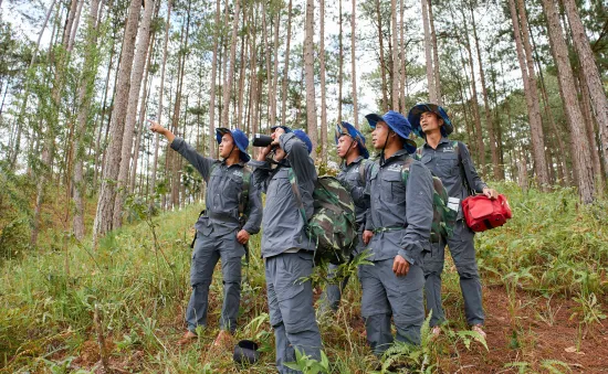 “Băng rừng, phá bẫy” giải cứu động vật hoang dã ở rừng phòng hộ đầu nguồn Đa Nhim