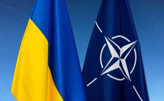 NATO giúp Ukraine chuẩn bị gia nhập liên minh