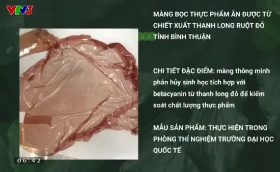 Tìm hiểu về sáng kiến màng bọc thực phẩm xuất thân từ thực phẩm