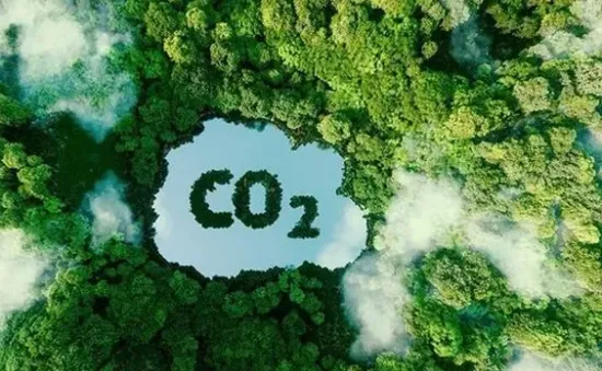 Có rừng là có tín chỉ carbon?