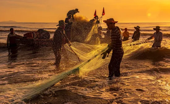 Nhộn nhịp cảnh kéo lưới rùng của ngư dân ở vùng biển Hà Tĩnh