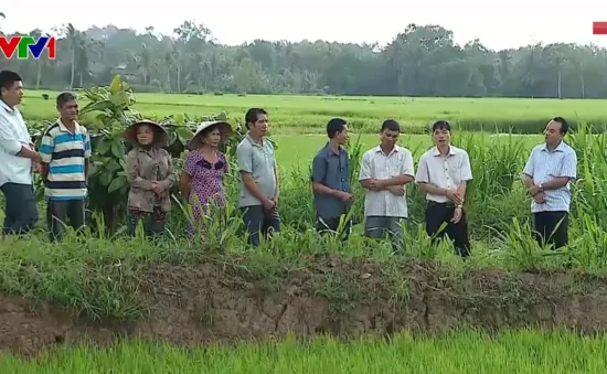 Phát triển nguồn nhân lực vùng đồng bào dân tộc thiểu số