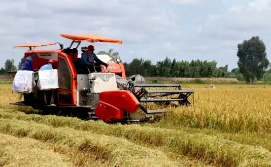 Hợp tác quốc tế, đa ngành về kinh tế tuần hoàn trong nông nghiệp