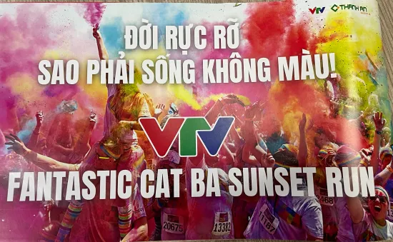 Triển khai kế hoạch tổ chức giải Marathon quốc tế VTV