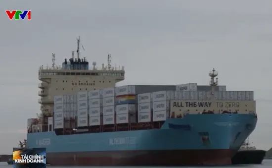 Ngành vận tải biển thúc đẩy sử dụng nhiên liệu xanh