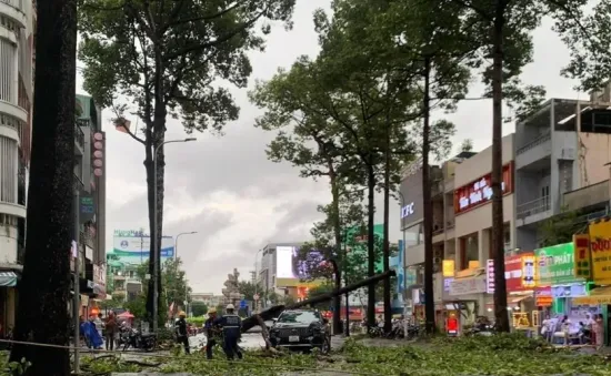 Cành cây gãy đè trúng ô tô, rạp cưới bị xô đổ trong mưa dông ở TP Hồ Chí Minh