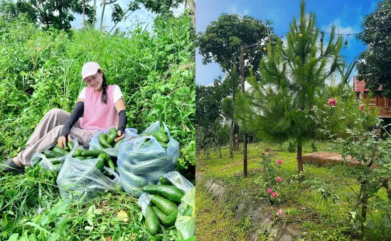 Trải nghiệm làm vườn, "sống chậm" cùng thiên nhiên ở các nông trại xanh