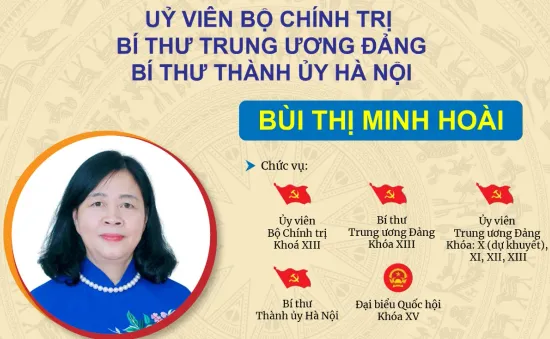 Tiểu sử tóm tắt tân Bí thư Thành ủy Hà Nội Bùi Thị Minh Hoài