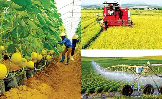 Xuất khẩu nông sản: Thiếu bền vững nếu không tận dụng công nghệ cao