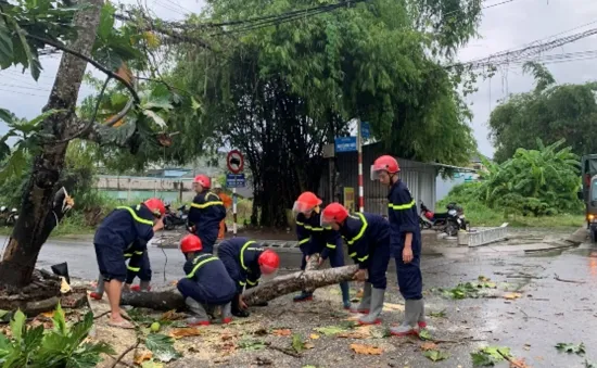 Trà Vinh: Khắc phụ sự cố cây xanh ngã đổ cản trở giao thông