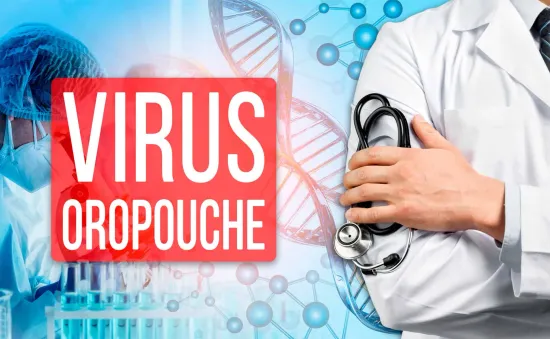 Số ca nhiễm virus Oropouche tăng nhanh ở khu vực Mỹ Latin