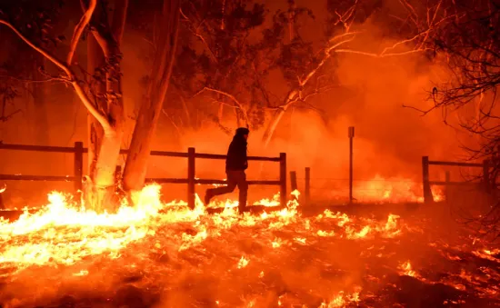 Cháy rừng thiêu rụi nhiều ngôi nhà trên sườn đồi, cư dân buộc phải sơ tán ở miền Nam California