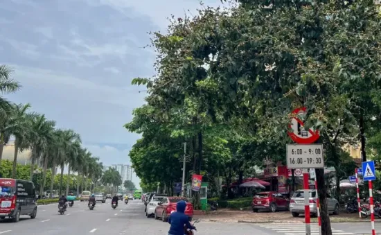 Biển báo giao thông “lấp ló” làm khó người đi đường