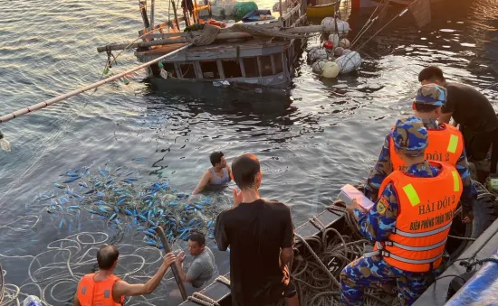 Tàu cá chìm sau va chạm với tàu hàng, 11 thuyền viên được cứu