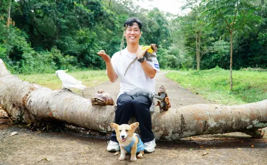 Khu rừng kỳ diệu nơi động vật... làm diễn viên