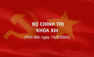 [Infographic] Các đồng chí Ủy viên Bộ Chính trị khóa XIII