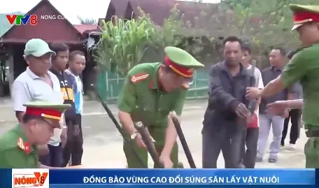 Mô hình "Đổi súng săn lấy heo đen"