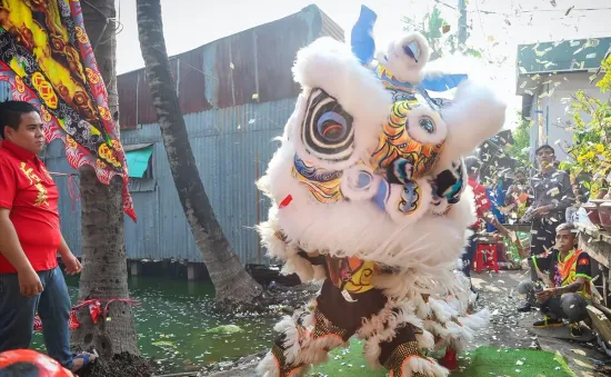 TP Hồ Chí Minh đề xuất đưa nghệ thuật Lân Sư Rồng vào danh mục di sản văn hóa phi vật thể quốc gia