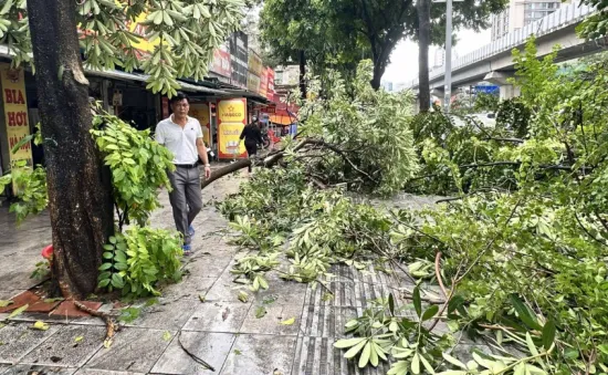 Hàng loạt cây xanh ở Hà Nội gãy đổ sau mưa dông