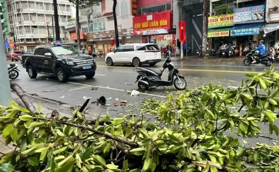 TP Hồ Chí Minh: Một người tử vong do nhánh cây xanh gãy trong mưa lớn​