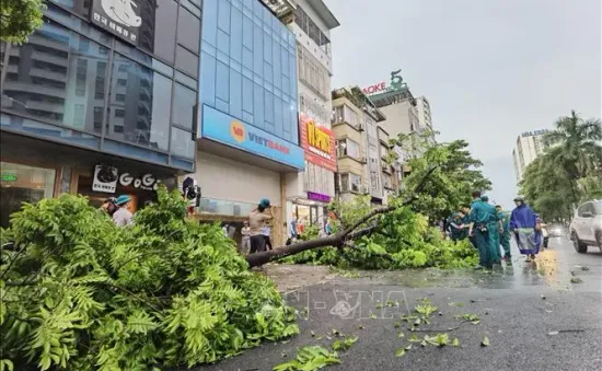 Thủ đô Hà Nội mưa lớn, cục bộ có nơi 500 mm, gió giật cấp 8