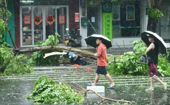 Siêu bão Yagi ở Trung Quốc: Các tỉnh miền Nam hứng mưa rất lớn trong 3 ngày tới