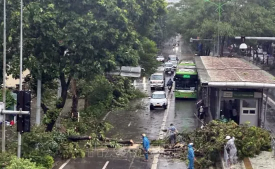 Cây xanh đổ la liệt trên nhiều tuyến phố Hà Nội làm 7 người thương vong