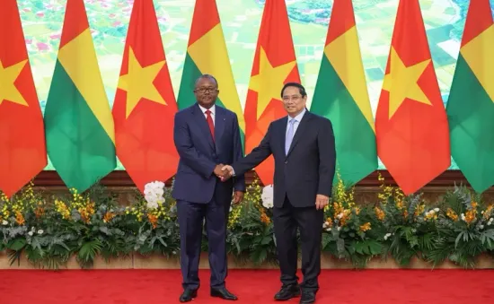 Phát triển quan hệ Việt Nam - Guinea-Bissau trên tinh thần “đối tác chân thành, bình đẳng, cùng có lợi”