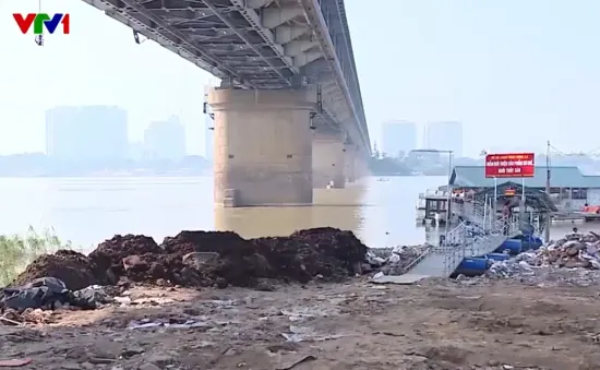 Đổ đất cả ngày lẫn đêm lấn chiếm bãi bồi ven sông Hồng