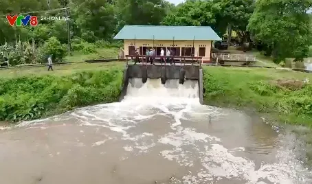 Thanh Hóa chủ động tiêu úng bảo vệ lúa mùa